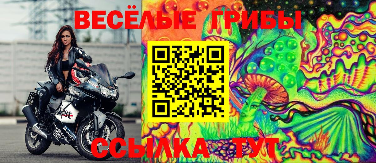 Галлюциногенные грибы GOLDEN TEACHER Артём