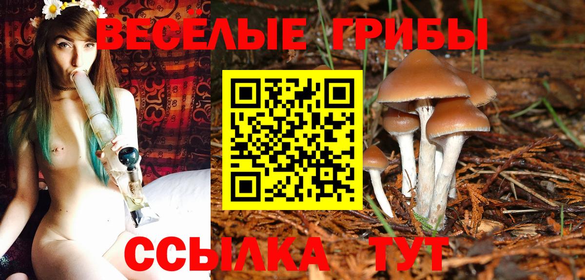 Артём  Галлюциногенные грибы мухоморы  Вход с VPN 